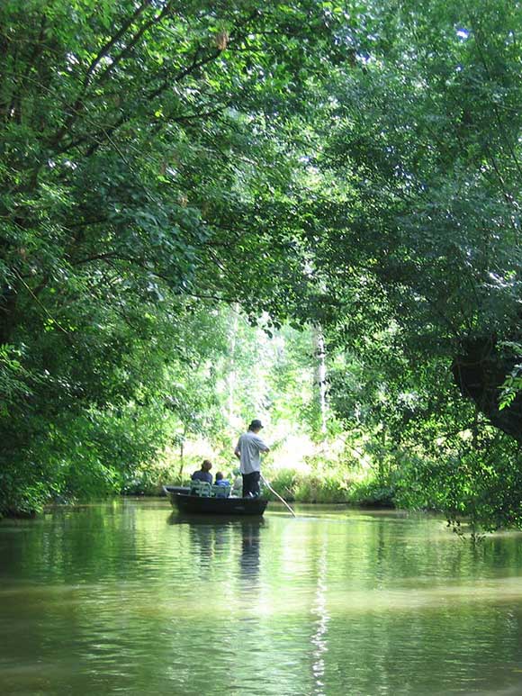 Tour de barque Marais Poitevin Tour de barque Marais Poitevin