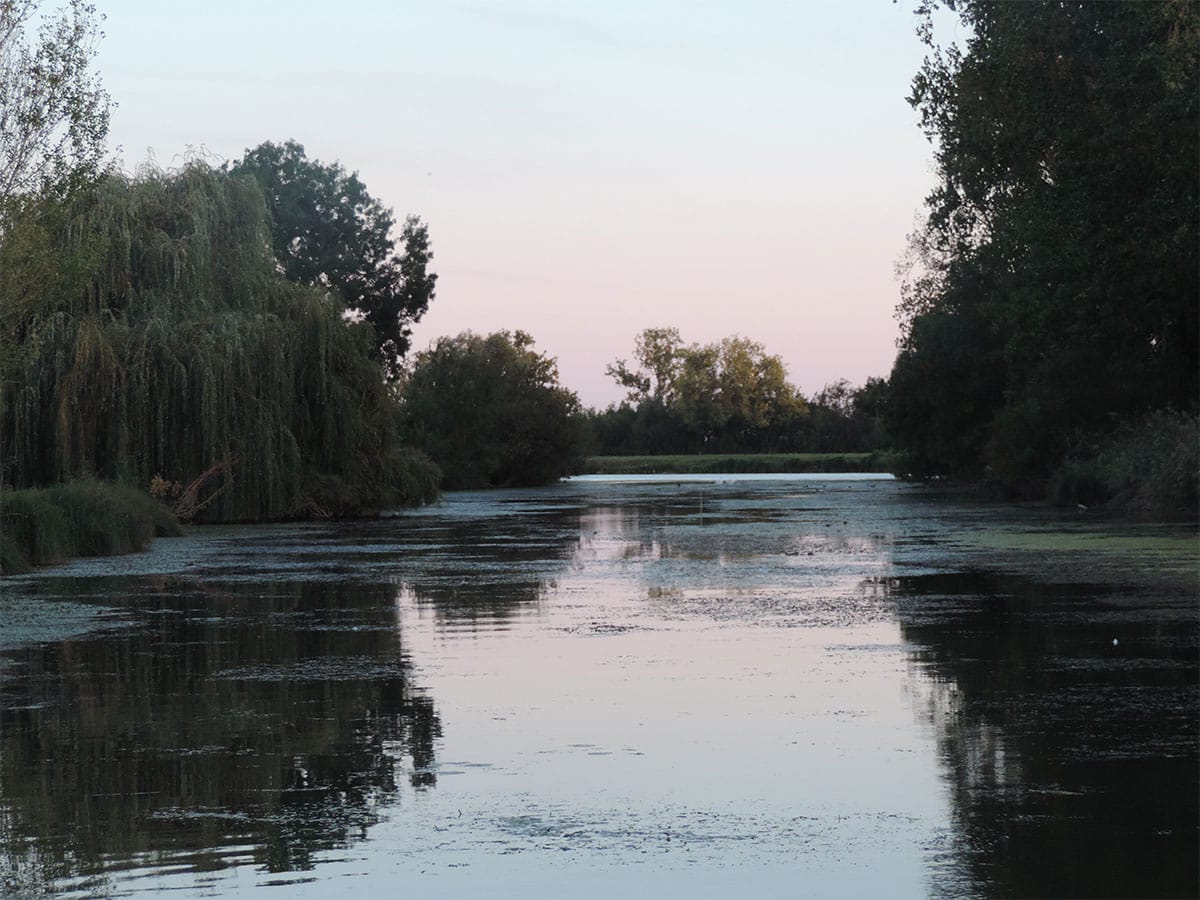 L’île de la Carpe L'île de la Carpe