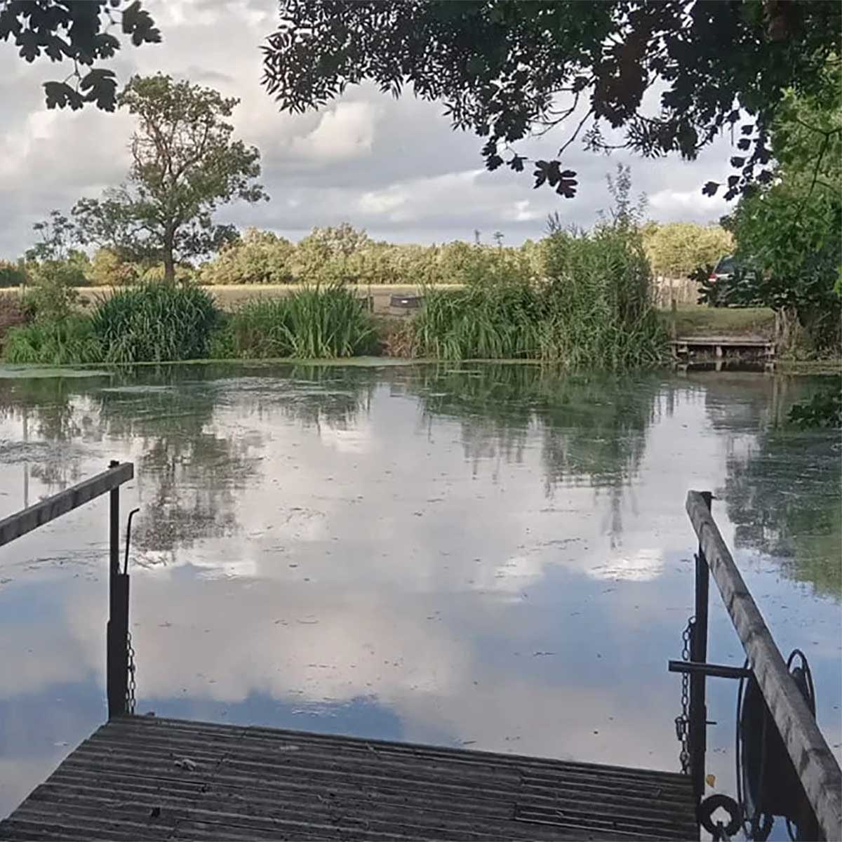 L’île de la Carpe L'île de la Carpe