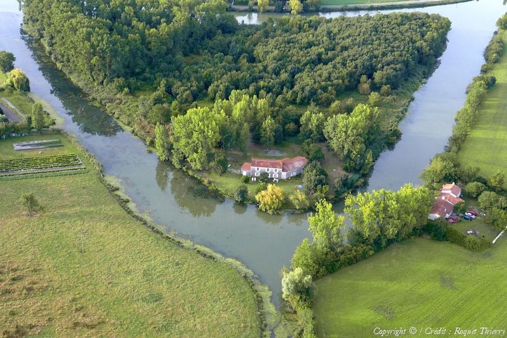 L'île de la Carpe