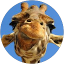 Natasha Moulin profile picture